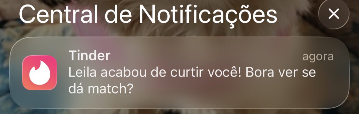 Leticia sem acento tweet media