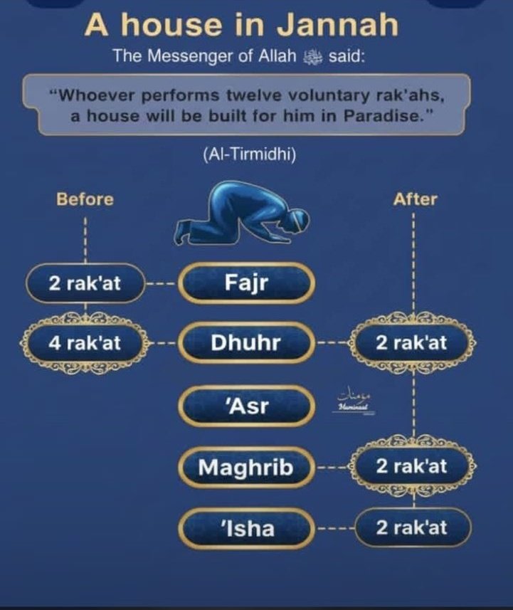 Abba Jidda. tweet media