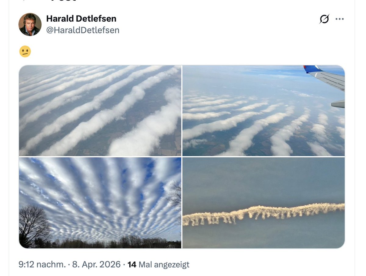 Smartino 📯 tweet media