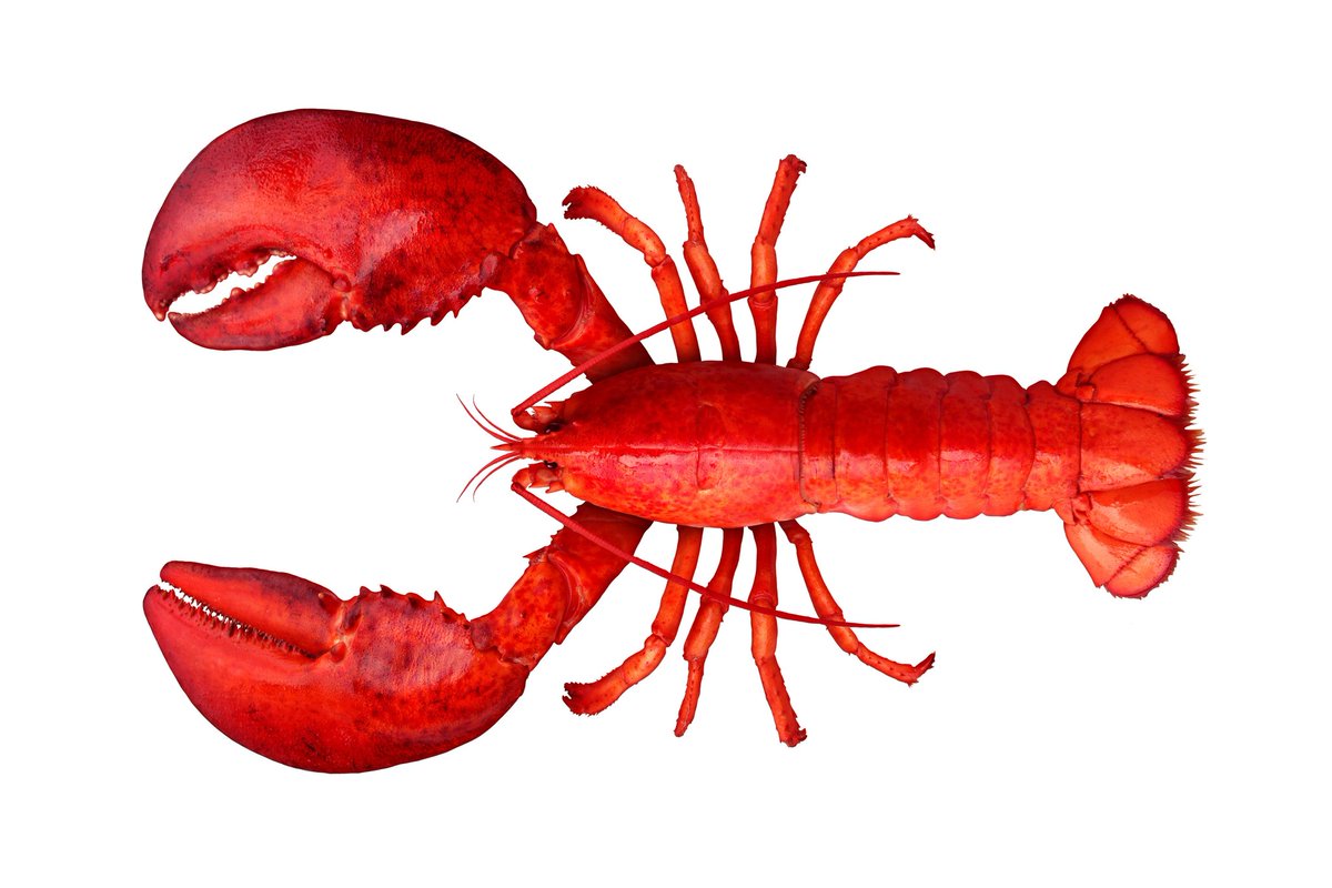 Albe Junior tweet media