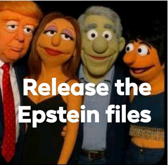 Brown Eyed Susan tweet media