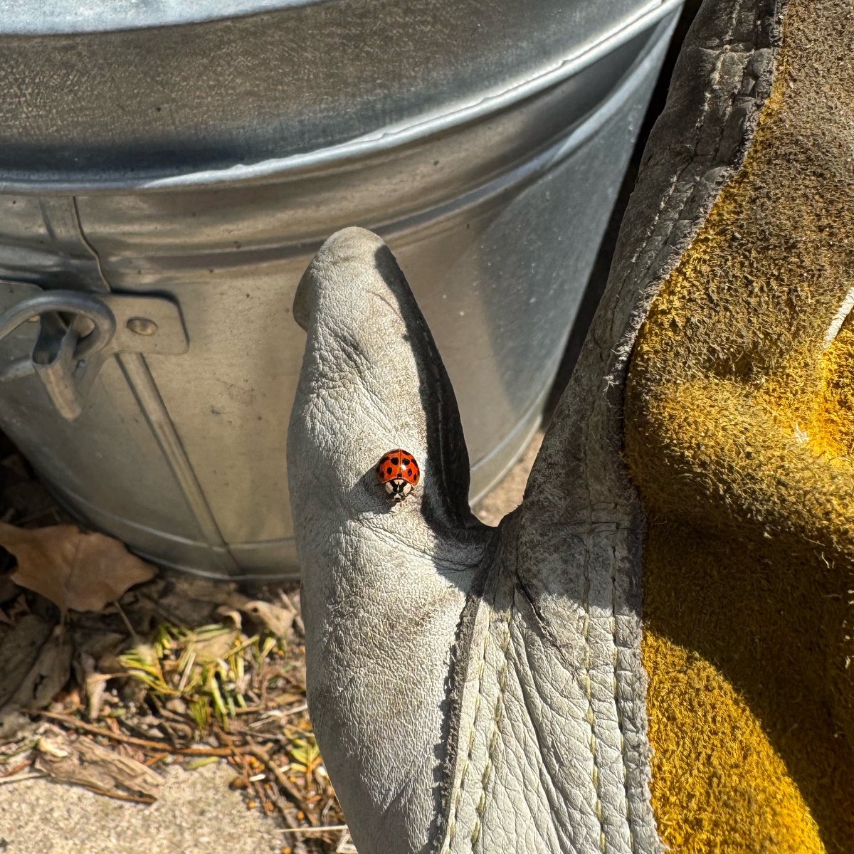 neu ※ ╦̵̵̿╤─ ʚ🤍ɞ tweet media