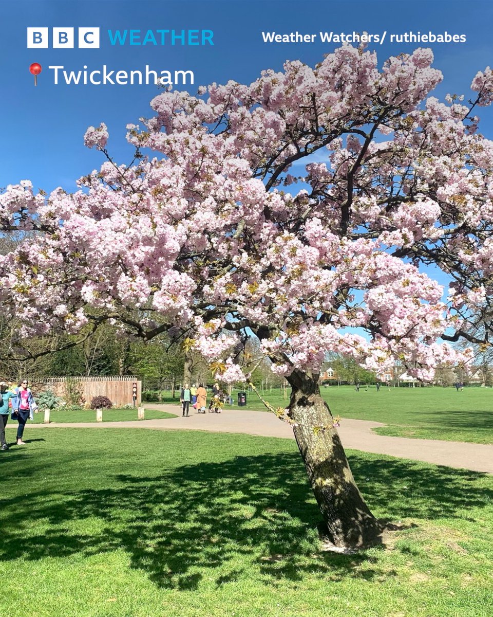BBCLondonNews's tweet photo. The sun has been shining in London today 🌞🌼 https://t.co/CZIewdCvCV