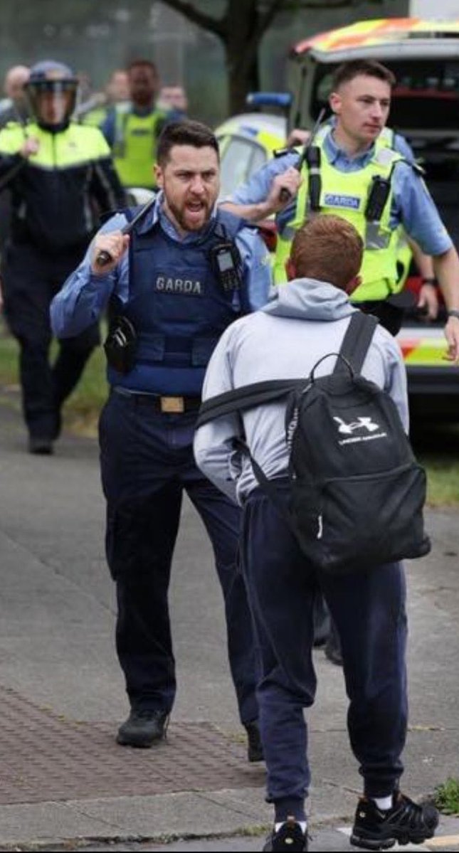 Warriors Of Ireland tweet media