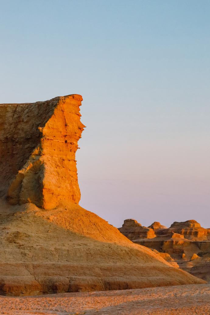 The Count tweet media