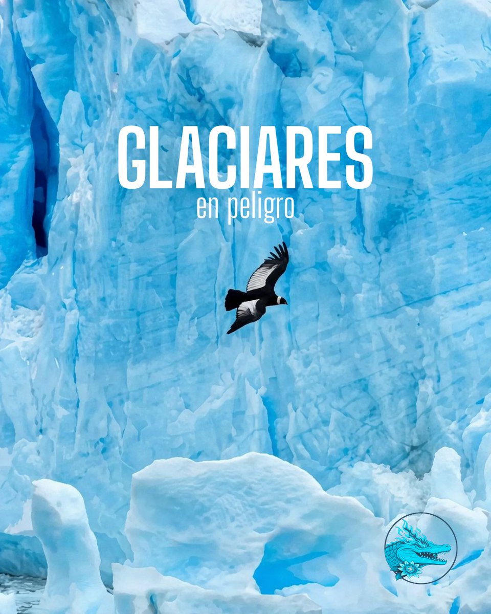 Libres Ecotransfeminista tweet media