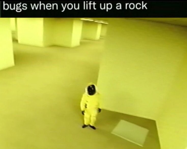 RetroRobin // BACKROOMS HYPE tweet media