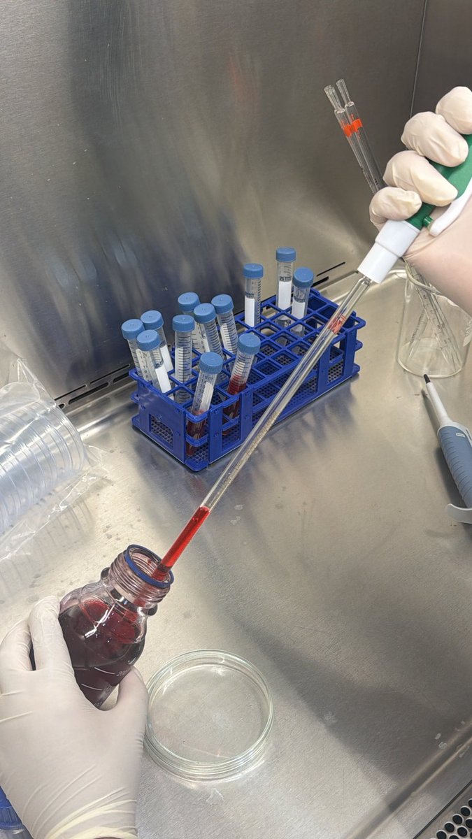 crri_9's tweet photo. ولله الحمد تم الانتهاء من البرنامج العلمي التدريبي بعنوان:
Hella cells: from ethics to practice
كانت تجربة علمية مميزة أسهمت في تنمية مهاراتي

وأتقدم بخالص الشكر لمقدمة البرنامج د.أريج السلمي @AR_Alsolami على طرحها العلمي المتميز وجهودها في إيصال المعلومة https://t.co/1nZGcMOliw
