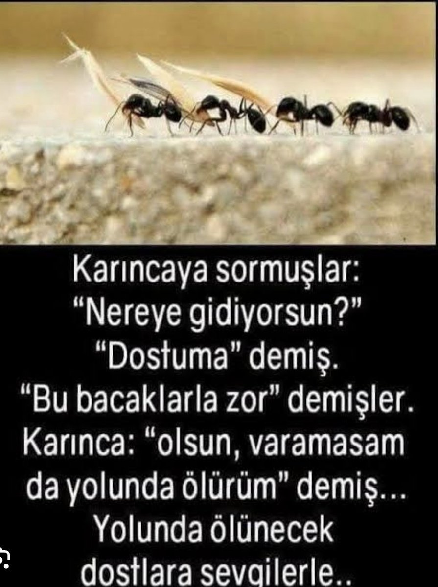 emo:ya🫑#mingi :3 tweet media