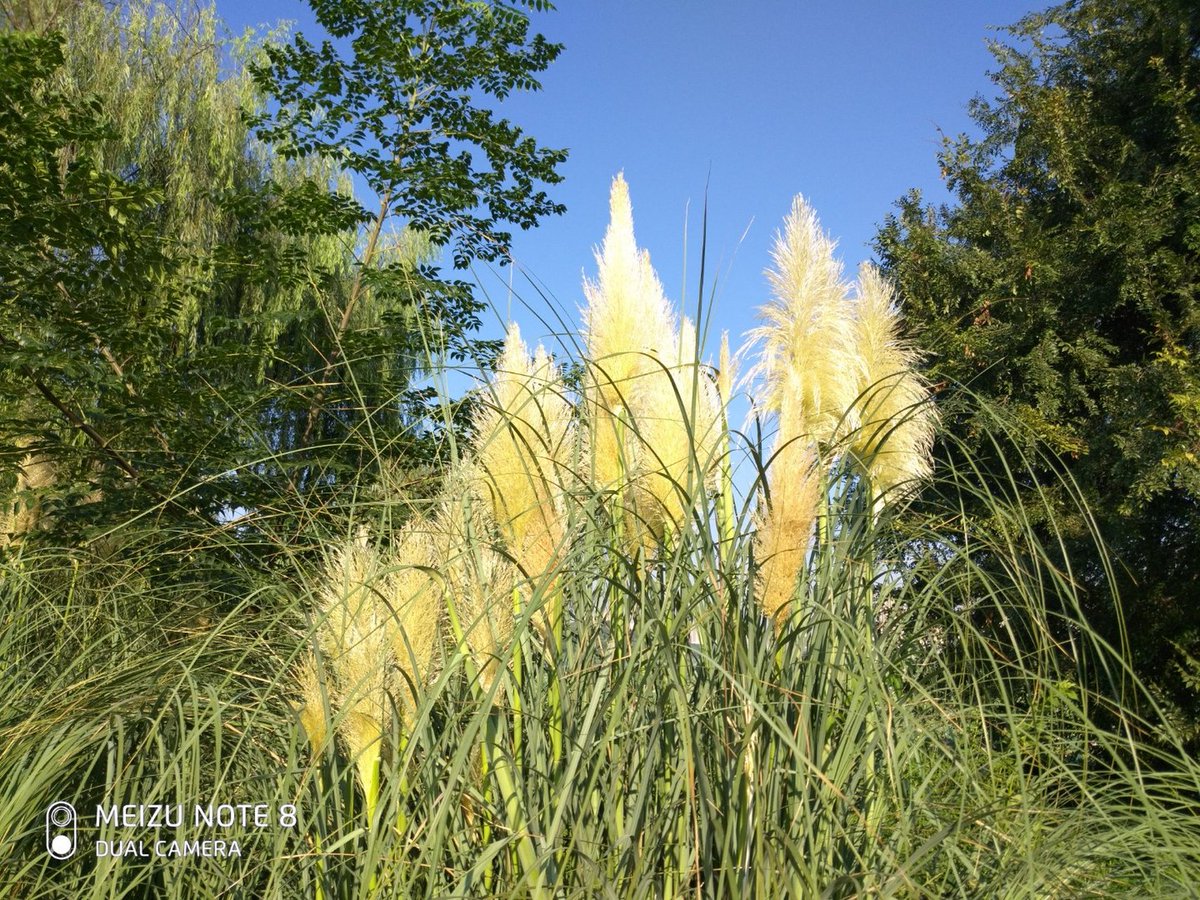 J.r.naeder tweet media