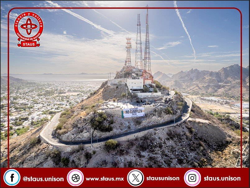 STAUS en Línea tweet media