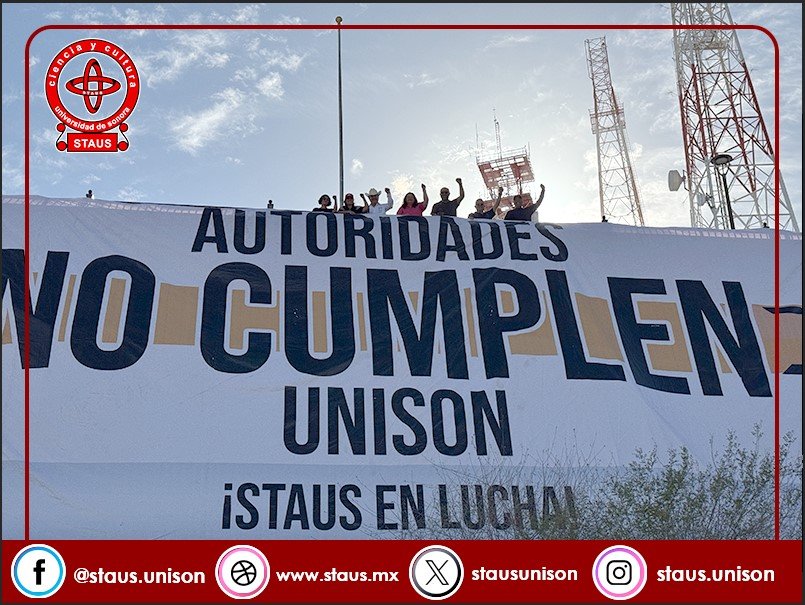 STAUS en Línea tweet media