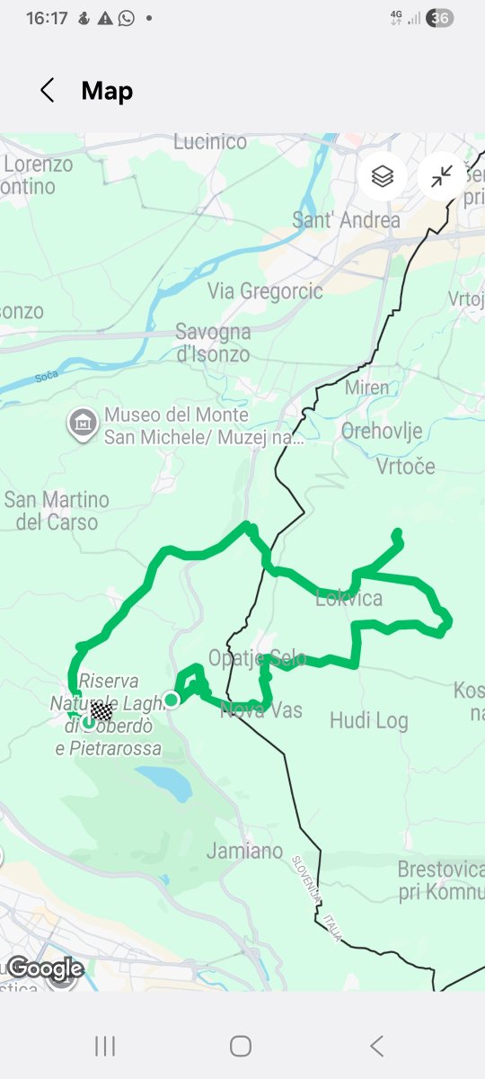 Roberto Bertoli tweet media