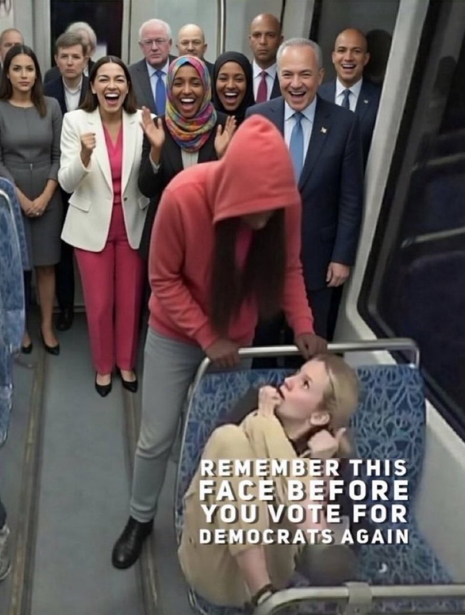 🇺🇸 Bull Moose American 🇺🇸 tweet media