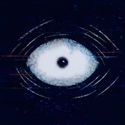 ChineseCatSpeak┃#1 CatNap Fan tweet media