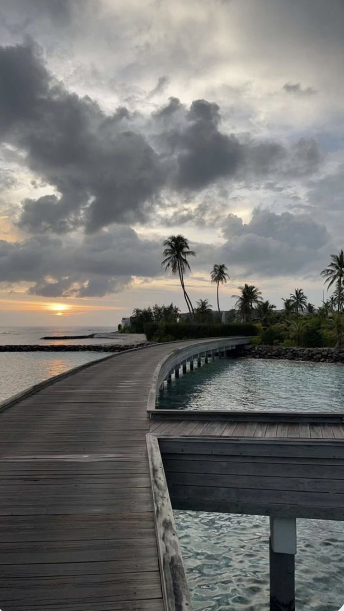 غاده ،،معلمة،، tweet media