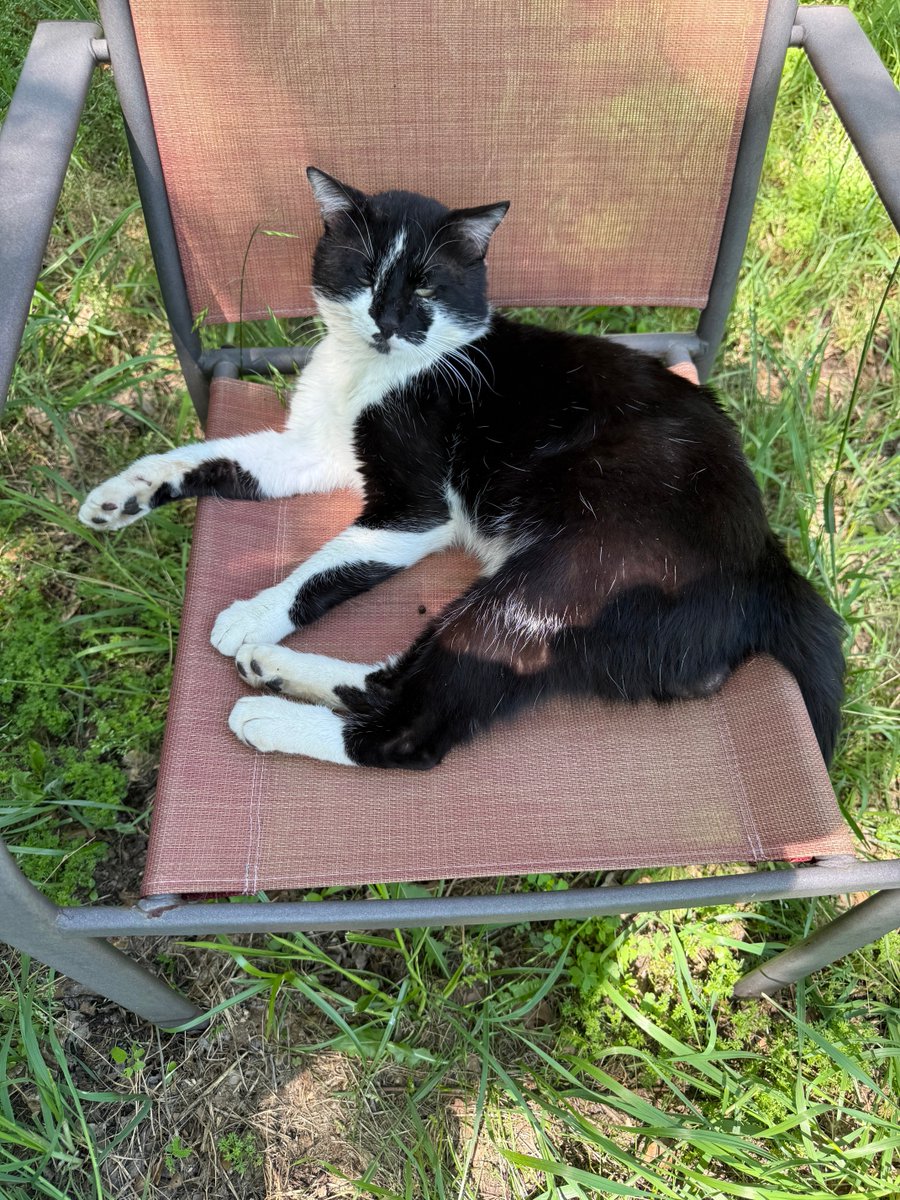 Shannon Minter tweet media