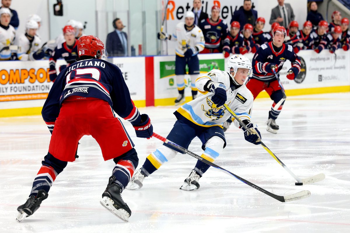 Spruce Grove Saints tweet media