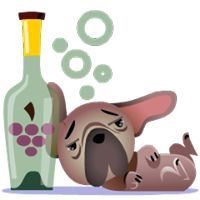 El chico que se parece a un ejemplo de autista tweet media