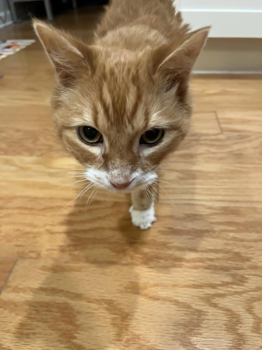 Mary 🕊️ tweet media