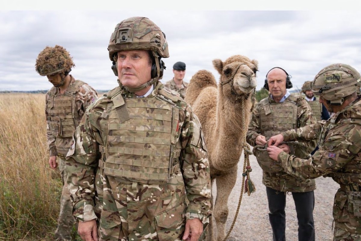 Doc Sportello tweet media