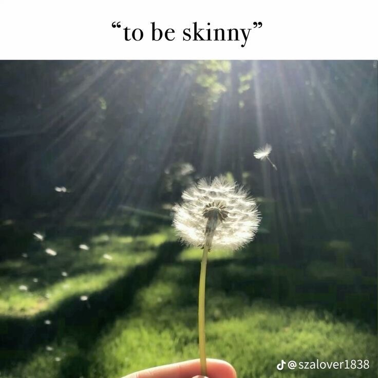 ˗ˋˏ ♡ ˎˊ˗ tweet media