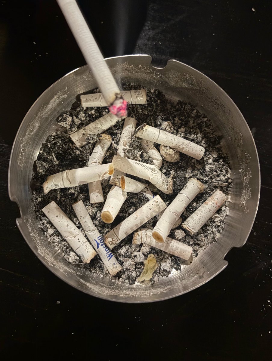 Хеба Паметњакович tweet media