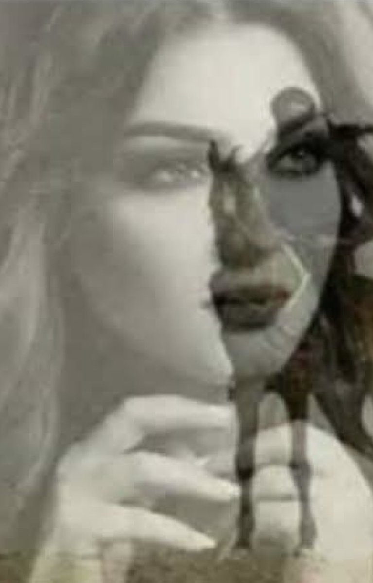 📨🍒طـپـعــے ٱڵـۆڣاء ✒ tweet media