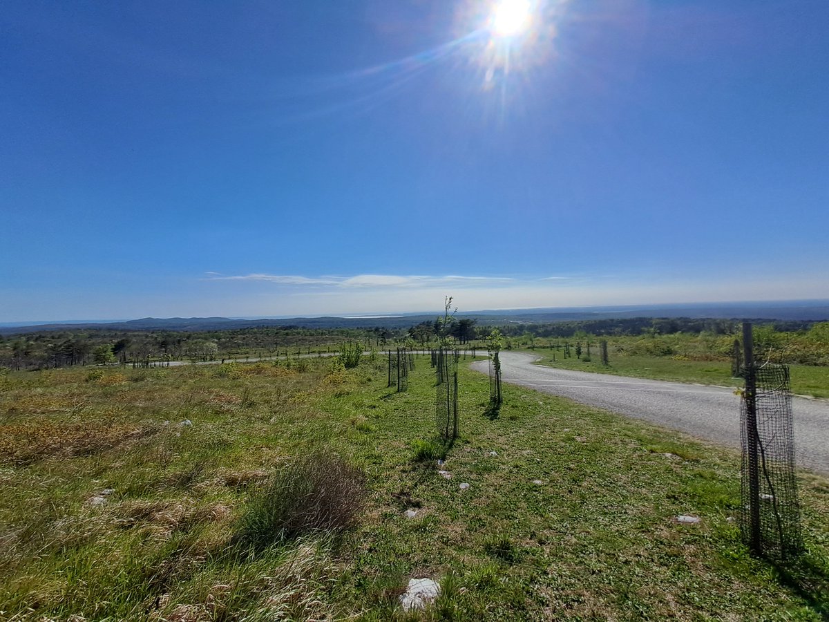 Roberto Bertoli tweet media