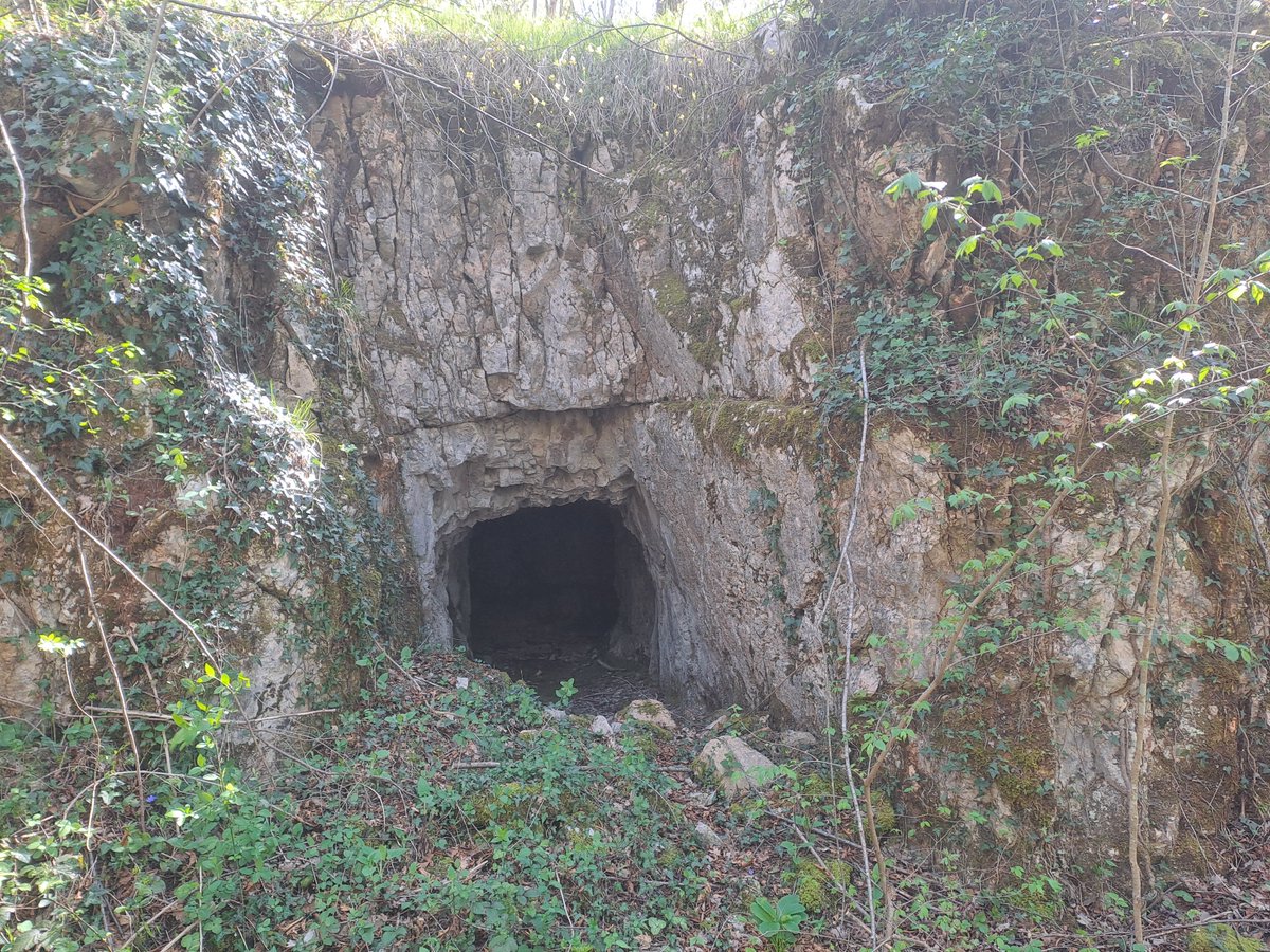 Roberto Bertoli tweet media