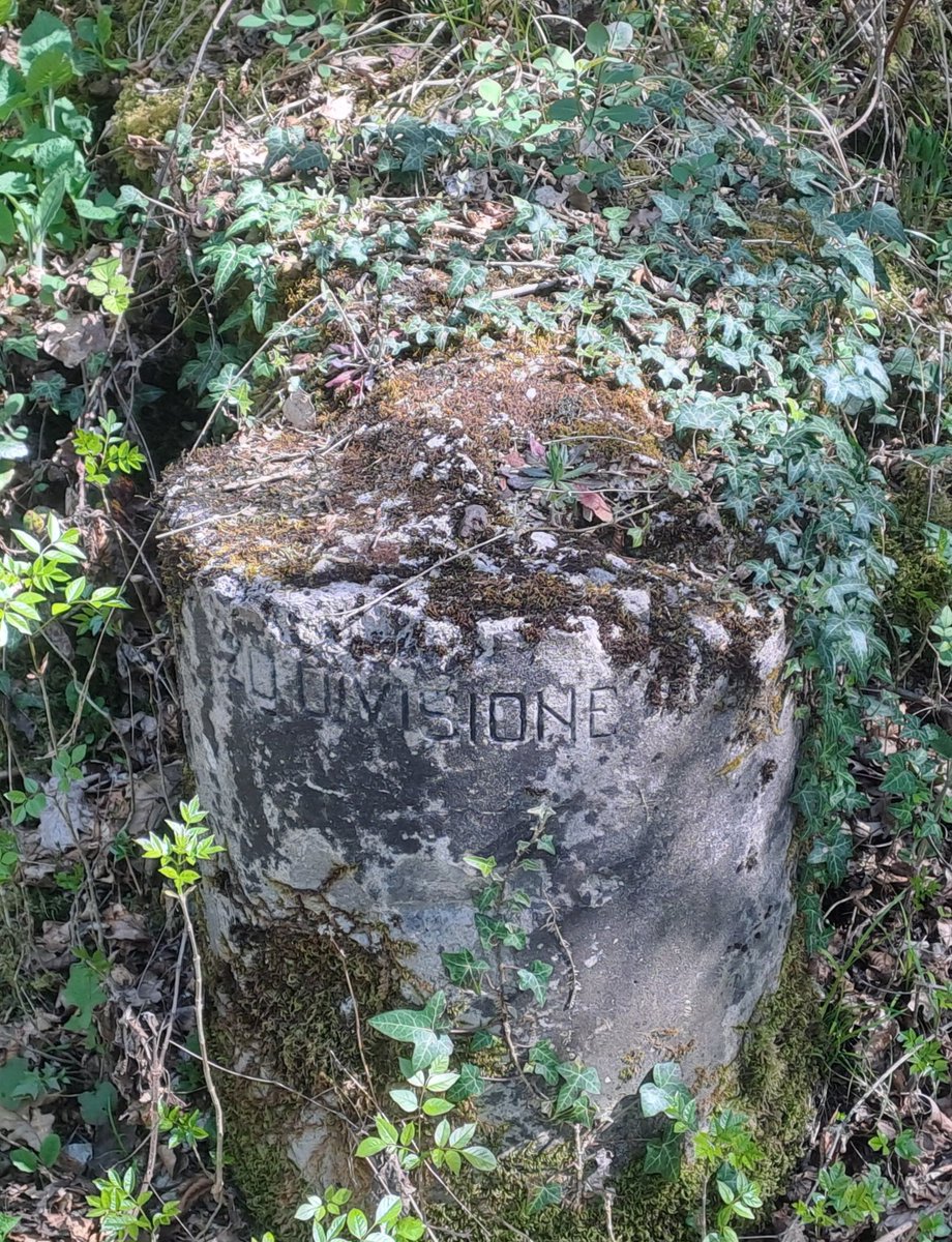 Roberto Bertoli tweet media