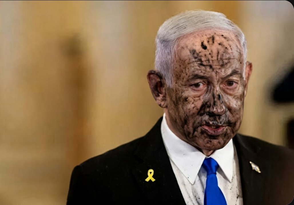 Sahar Shaikh ( AIMIM ) tweet media