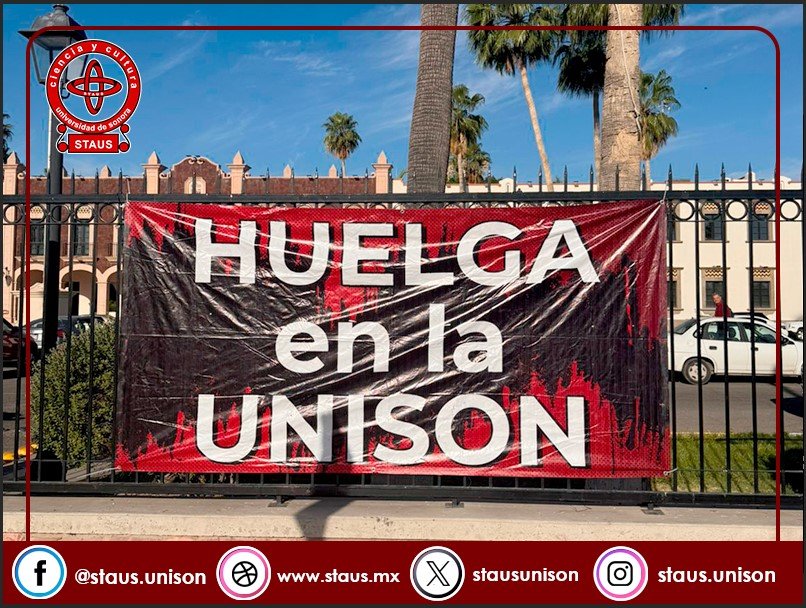 STAUS en Línea tweet media