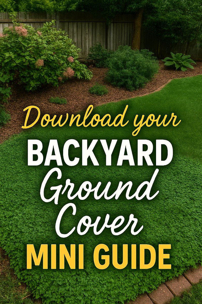 Dian_Farmer_'s tweet image. 🌿 Ground cover is your garden's first line of defense. This mini guide helps you pick the best cover without guesswork.

👉 …oundcoverminiguide-d8r.plannerpack.co

#GroundCover #GardenProtection #BackyardTips #MulchMatters #GardenSmart