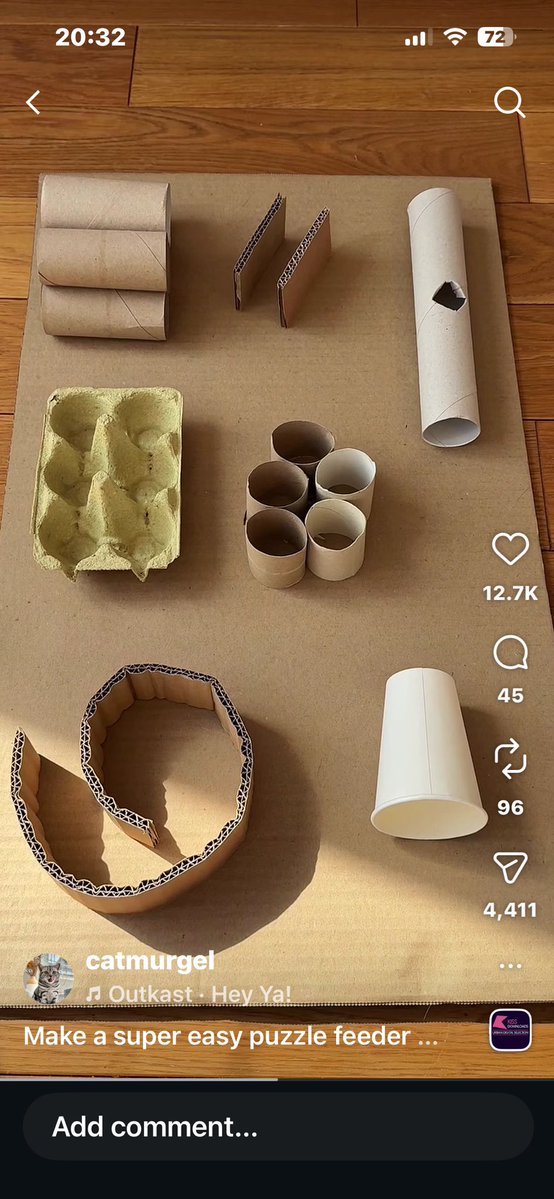 just a normal girl in a messed up world - gymtwt tweet media