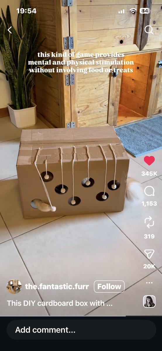 just a normal girl in a messed up world - gymtwt tweet media