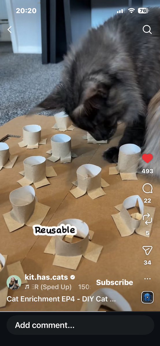 just a normal girl in a messed up world - gymtwt tweet media