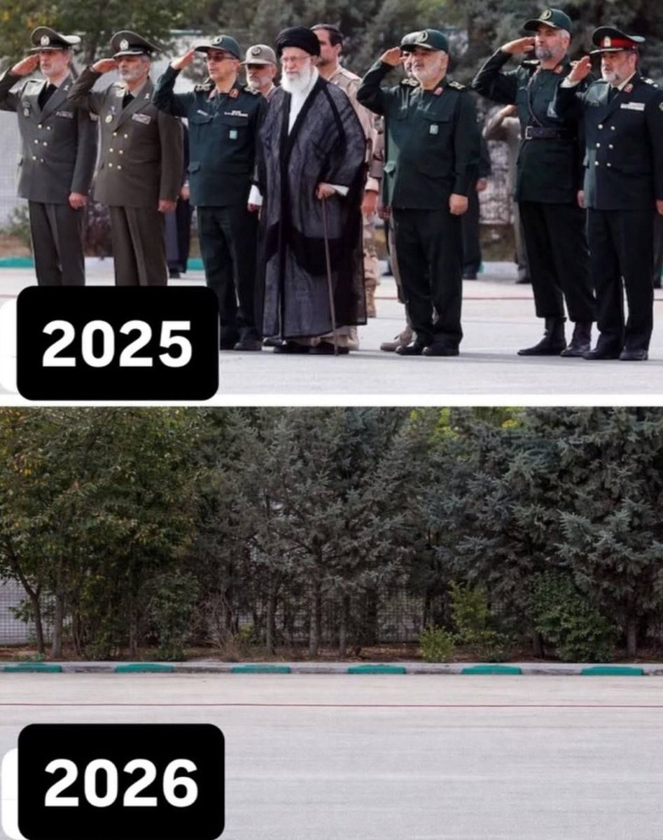 Dr. Eli David tweet media