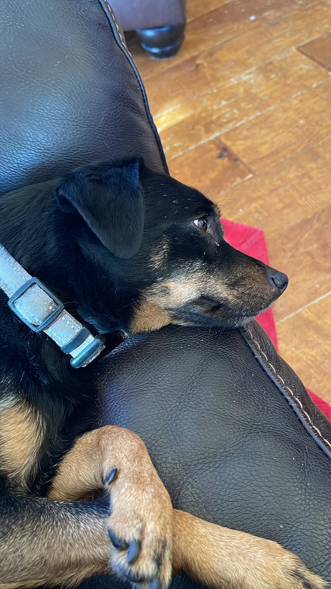 allerganbabe tweet media