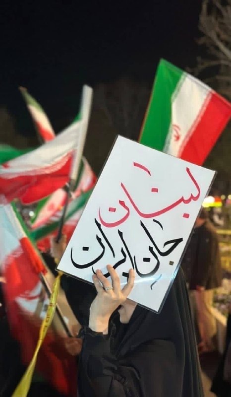 Middle East Observer tweet media