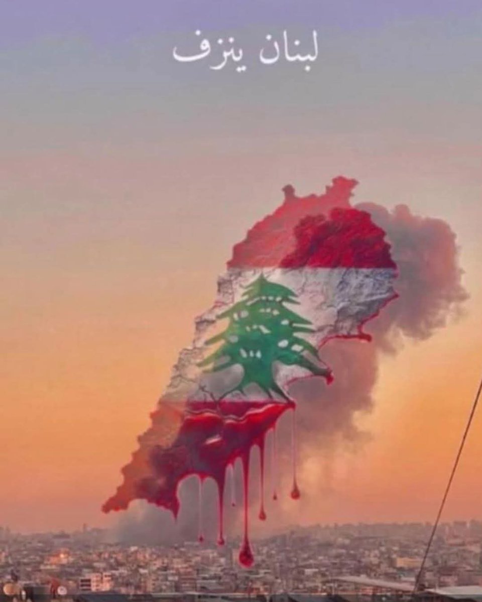 shaimaa amen tweet media