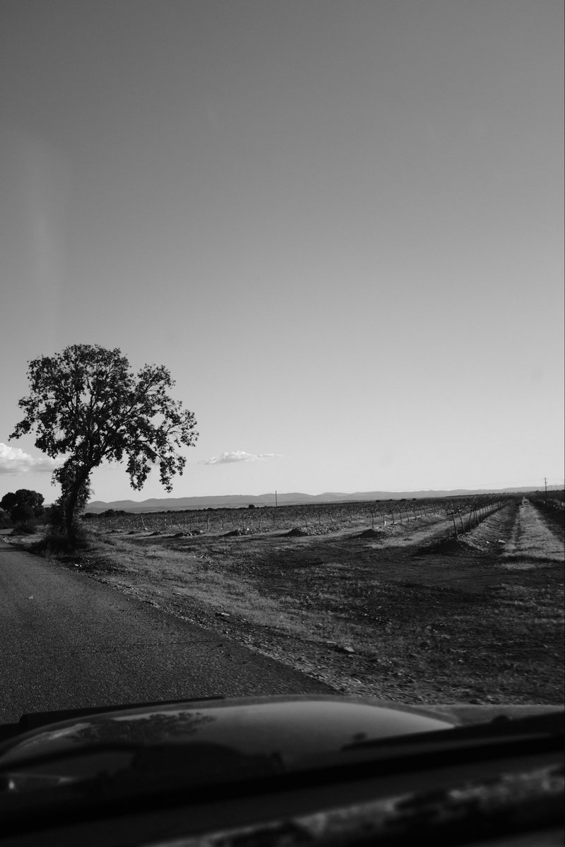 Slime Seta tweet media