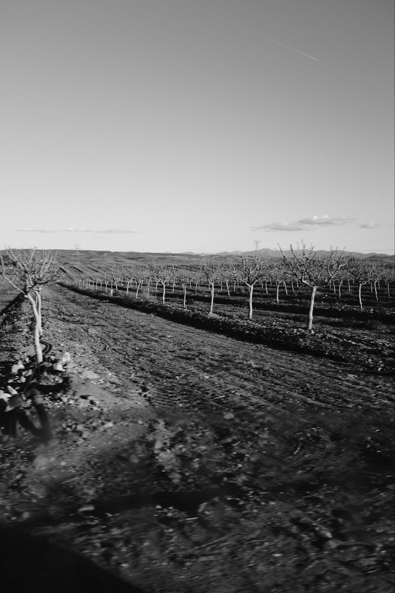 Slime Seta tweet media