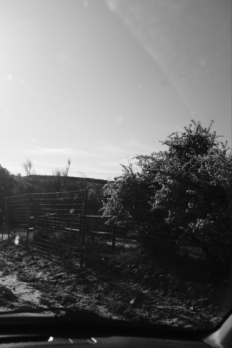 Slime Seta tweet media