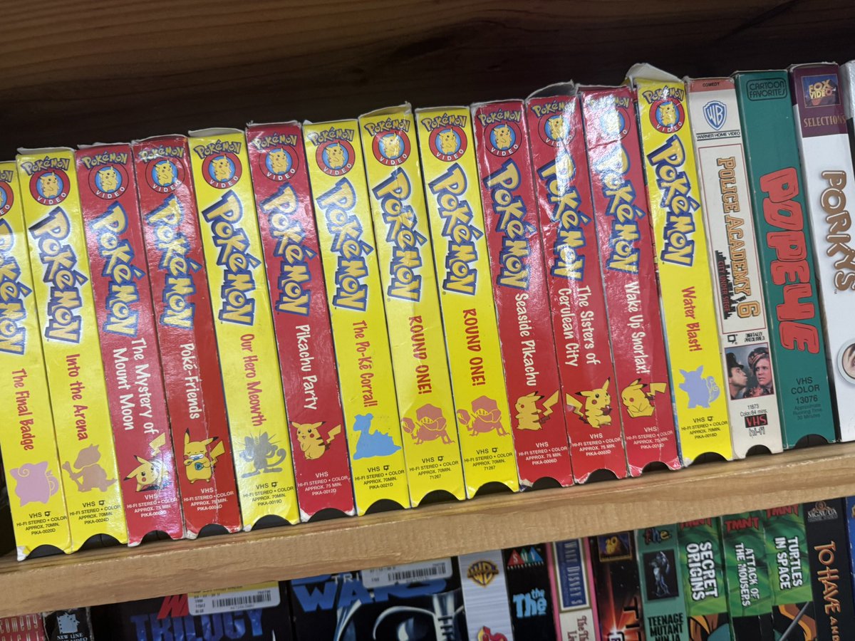 ChikoCheez tweet media