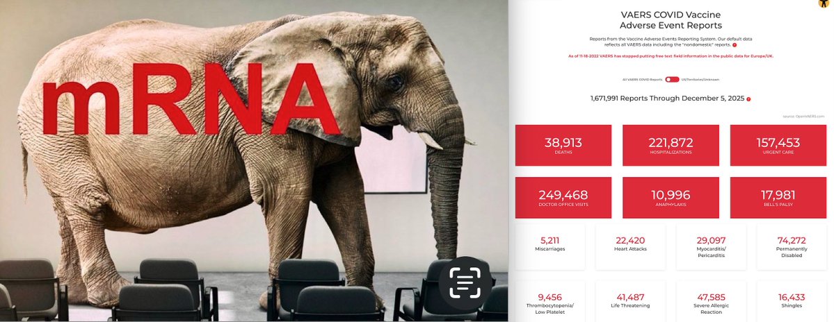 Louie Traub tweet media