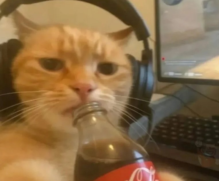 yenna 🎮 tweet media