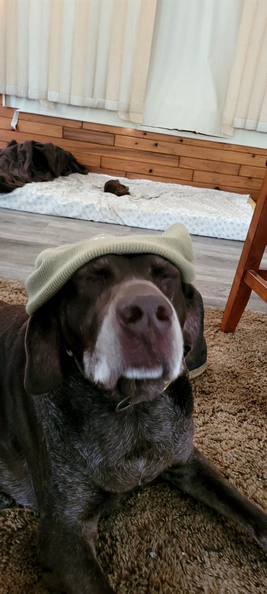 LegacyRadioGaming tweet media