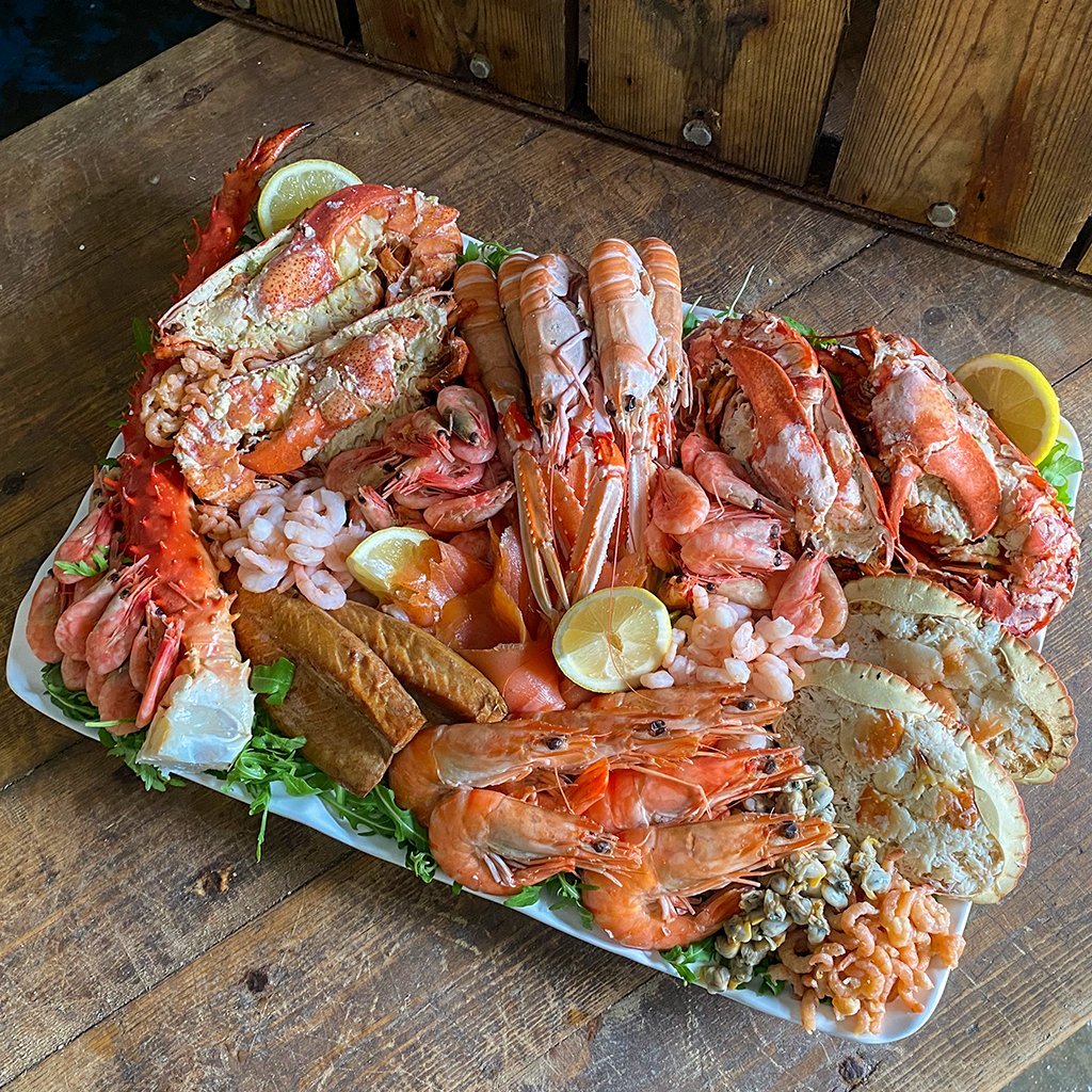 Olly the Cat, Monarch of The Moglets. RIP Maximus. tweet media