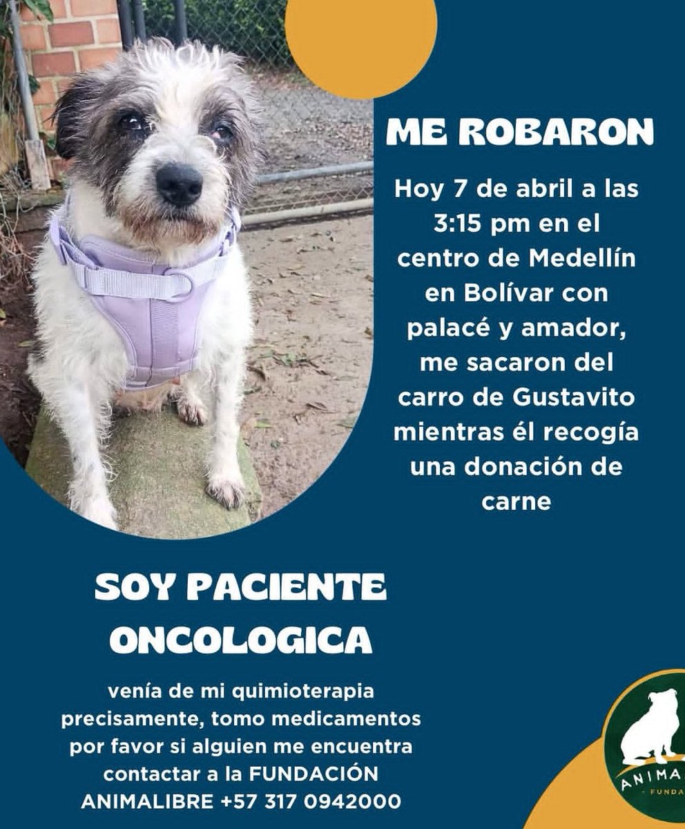 Lunareja tweet media